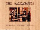 WALKABOUTS , THE - THE VIRGIN YEARS NEW VINYL