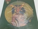 Cher: Take Me Home LP (1979) Picture Disc Vinyl 12