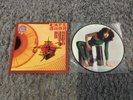 Kate Bush “The Kick Inside” Orig 1978 U.K. First Press Pic Disc vinyl Lp