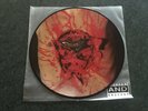 Dismember ?– Indecent And Obscene PIC-LP ORIGINALPRESSUNG    Entombed Unleashed