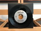 ULTIMATE BREAKS & BEATS FUNKY WORM STREET BEAT RECORDS SBR-775 7” USA 2009