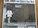 Vashti Bunyan - Some Things Just Stick In Your Mind - Vinyl 2xLP - Folk Pop