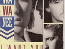 WA WA NEE  I Want You PICTURE SLEEVE 7