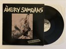Angry Samoans - Inside My Brain  - Rare 1980 US 1st Press (NM) Ultrasonic Clean