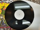 KING GIZARD & THE LIZARD WIZARD Teenage Gizzard 1/10 TEST PRESSING Vinyl LP Disc