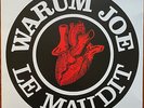 WARUM JOE Aime le maudit 1993 French Post punk synth wave RE 2021 1ère en Vinyle