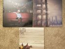 Julian Plenti Is Skyscraper, Lives EP, & Paul Banks ST Vinyl Record LP Interpol
