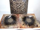 Machine Head - Bloodstone & Diamonds Vinyl LP Splatert mit Orginal Autogrammen