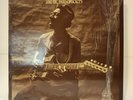 HOUND DOG TAYLOR & THE HOUSEROCKERS  ALLIGATOR 4701 LP VG+/NM Shrink 1973