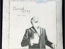 DAVID GRAY Foundling LP New Vinyl