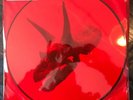 Alice in Chains -The Devil Put Dinosaurs Here 2-LP/ Vinyl /Limited Picture Disc