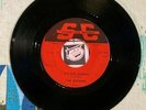The Defiants 45 Bye Bye Johnny / Maggie's Farm 1966 Minnesota Garage VG-