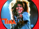 Tina Turner  Picture Disc Record 12
