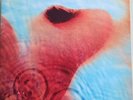 Pink Floyd Meddle Re Issue EU Pressing 12'' vinyl Lp rock 70s