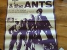 Vintage adam And the ants Spanish poster 1981 Ex Condition
