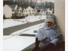 x/500 Splatter Vinyl LP The Wonder Years Suburbia I've Given You All And Now I'm