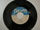 BOBBY ROBERTS w/ Highpockets Delta Rockets Big Sandy / She's My Woman Sky 101 56