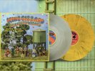 King Gizzard - Paper Mâché Dream Balloon Gizzverse Exclusive Lenticular PRESALE