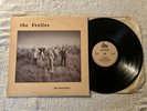 FEELIES The Good Earth COYOTE LP Excellent Condition