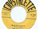 R&B / TITTYSHAKER / POPCORN 45 - PLAYBOYS 