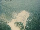 MOUNTAIN MAN-MADE THE HARBOR (10 YEAR ANNIVERSARY EDITI (US IMPORT) VINYL LP NEW