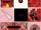 Ed Sheeran Equals Ltd Edition Deluxe Book Clear/Swirl Vinyl + CD+ SIGNED Artcard
