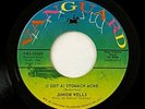 Junior Wells 