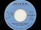 Liberation Street Singers 