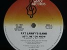 Fat Larry's Band 