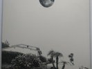 Timber Timbre ‎– Hot Dreams