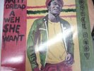 HORACE ANDY - Natty Dread a Weh She Went [VINYL] 1978 -New Star