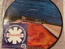 Red Hot Chili Peppers Californication Special 20th Anniversary Picture Disc New