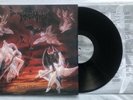 IMMOLATION - DAWN OF POSSESSION (2003) - LP - RARE  NM