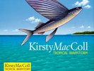 Kirsty MacColl-Tropical Brainstorm (UK IMPORT) VINYL NEW