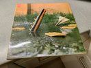 PETE BROWN & PIBLOKTO  - Thousands on a raft - rare UK 1st Press Harvest