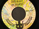 SPANIELS: maybe / goodnight sweetheart BUDDAH 7