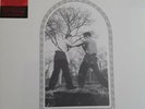 CAR SEAT HEADREST - Teens of Denial (RECALLED Unplayed VINYL LP NEW SEALED)