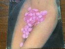David T. Walker lp, On Love, VG/EXC. Cond., LOOK