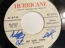 THE BLUEDOTS   HURRICANE   MY VERY OWN   Rare Orig. MIAMI, FL DOO WOP