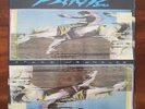 WIDESPREAD PANIC Space Wrangler LD 1016 LANDSLIDE US ORIGINAL 1988 VINYL LP EX