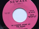Northern Soul The Kittens Three 45 Newark Lbl. PROMO