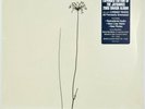 The Jayhawks • Rainy Day Music • Expanded Edition vinyl record LP New OOP SEALED