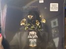 Billy Strings - Renewal Limited Edition 2xLP On Coke Bottle Clear Colored Vinyl