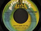 SIMTEC & WYLIE: cross that bridge / what's good to you MISTER CHAND 7