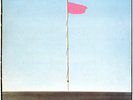 Wire - Pink Flag - Vinyl LP - Original Green Harvest Labels w/ inner sleeve