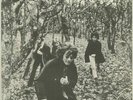 STEAMPACKET - 1965-68 - Vinyl (LP + booklet)