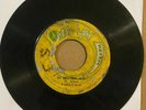 Rare Roots 45 Ta-Teacher Love Oh Jah Come Family Man Dub One Way Sounds 1975 VG