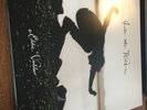 Eddie Vedder Into The Wild 180 Gram Vinyl