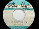 VANDALS Garage Psychedelic ACETATE 45rpm She Caught the Wind HEAR