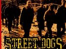 Street Dogs - Savin Hill [New Vinyl LP]